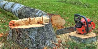 Best Tree Mulching  in Farmingville, NY