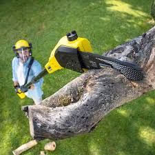 Best Sod Installation  in Farmingville, NY